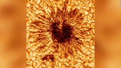 「前例ない」高解像度の太陽黒点画像、新型望遠鏡でとらえる